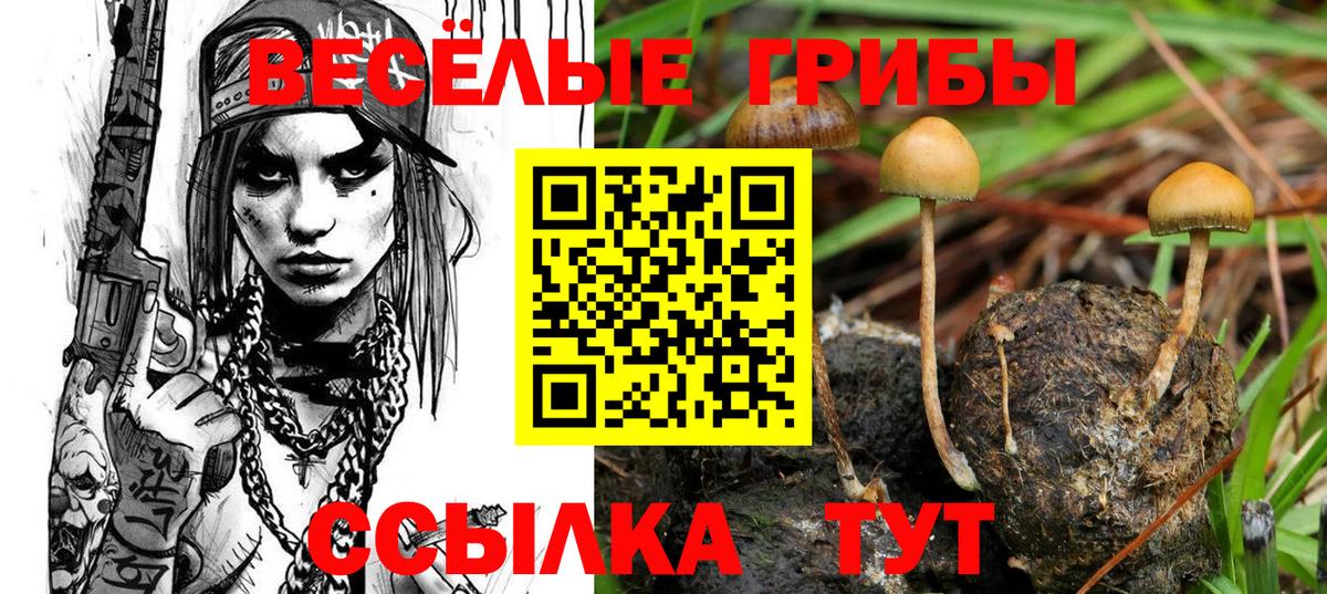 Псилоцибиновые грибы прущие грибы Тобольск