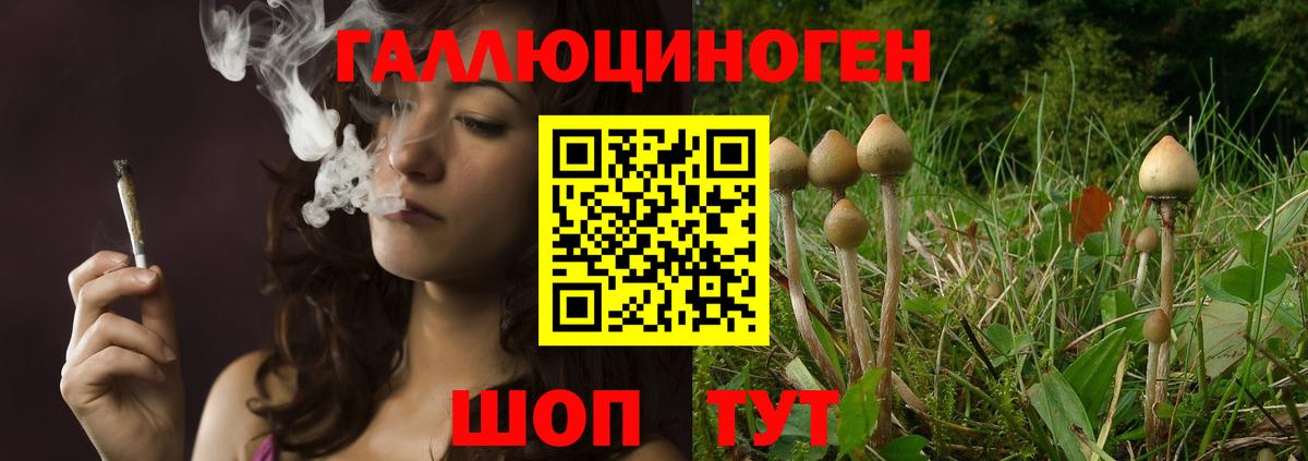 Галлюциногенные грибы MAGIC MUSHROOMS  Вход с VPN  Галлюциногенные грибы MAGIC MUSHROOMS  где купить наркоту  Тобольск 
